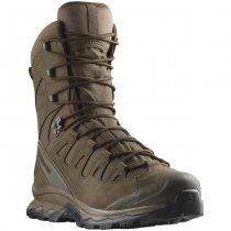 Salomon Quest 4D Forces 2 HIGH GTX EN - Earth Brown - UK 9